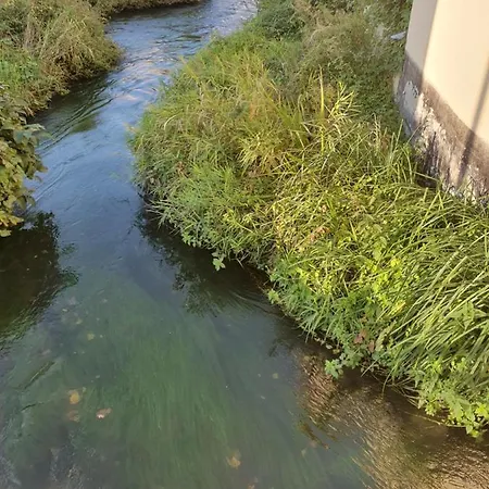 Les Berges Du Moulin 아파트 엔지스하임