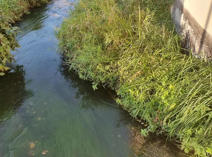 Les Berges Du Moulin Διαμέρισμα Ensisheim